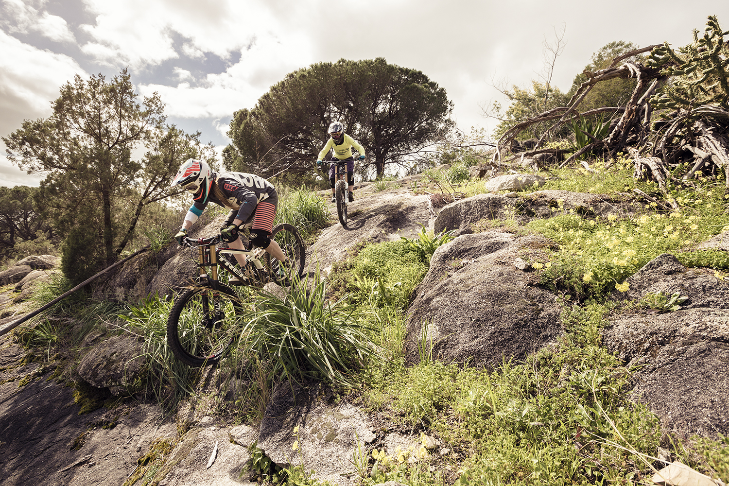 Trails-color-11-8811