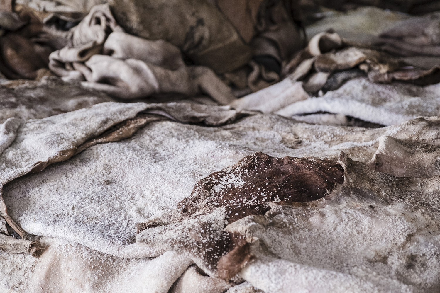 Italian Leather - 02