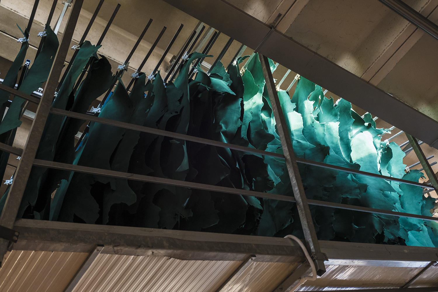 Italian Leather - 07